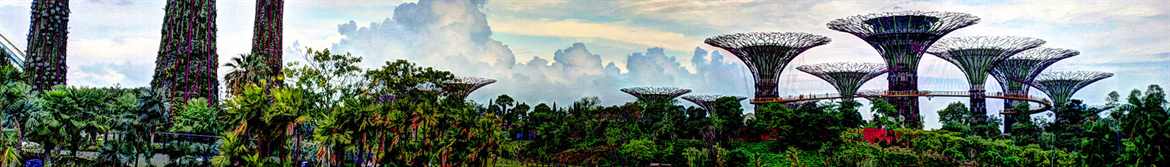 Supertree_Grove,_Gardens_by_the_Bay,_Singapore_-_20120704_(banner)